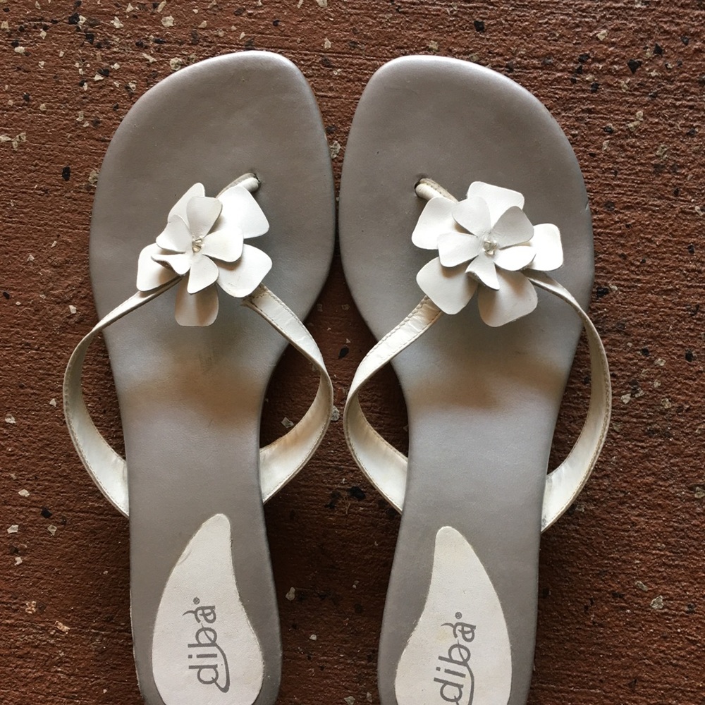 DIBA slide, size 8